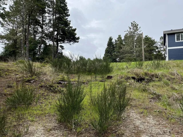 a view of a water pond with green space