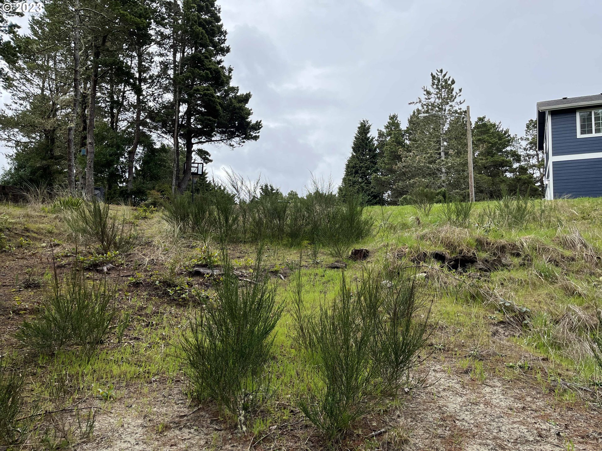 649 Ibolt Court Florence, OR 97439 - Photo 7 of 13 a view of a water pond with green space