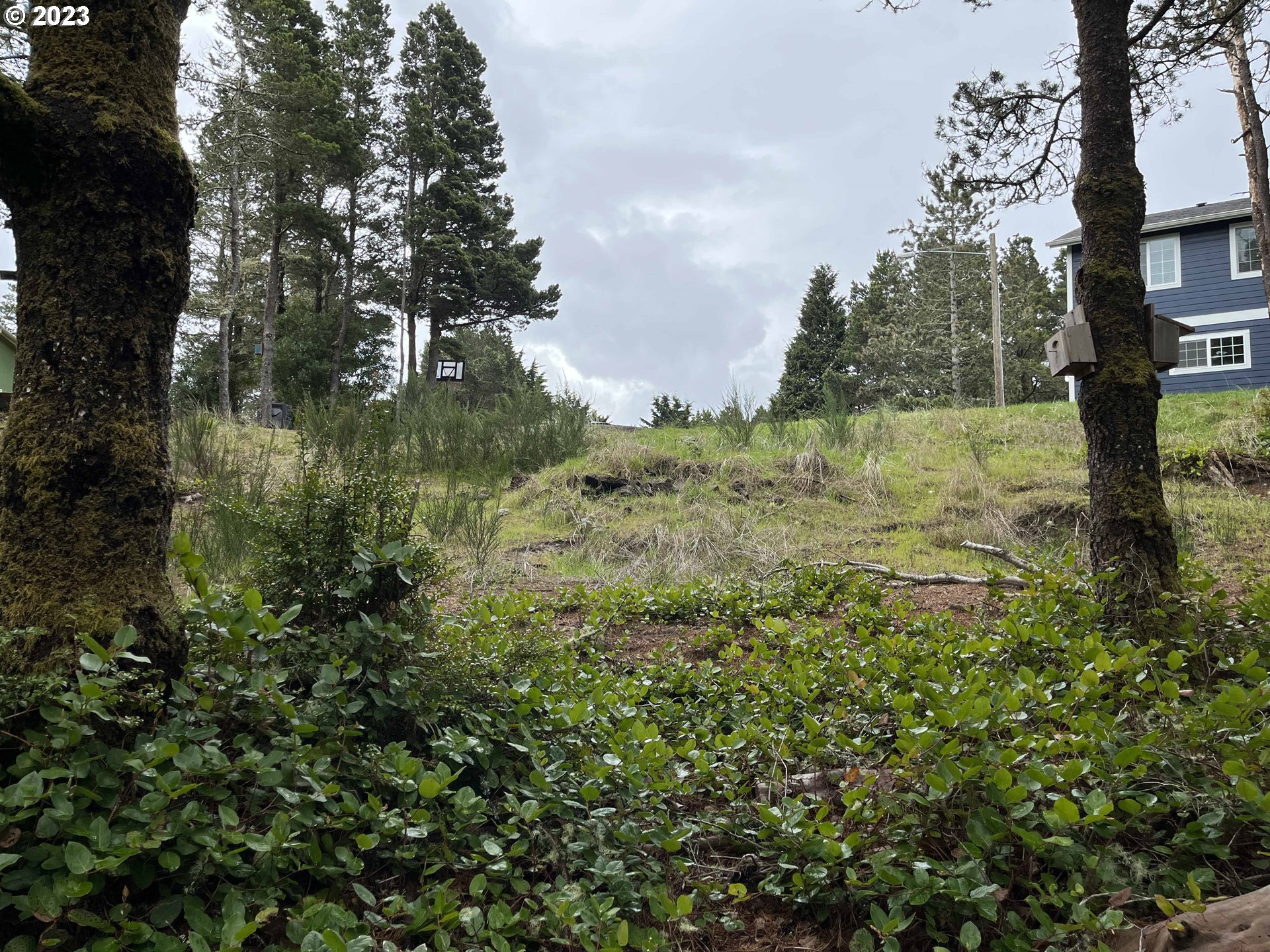 649 Ibolt Court Florence, OR 97439 - Photo 10 of 13 a view of outdoor space and trees