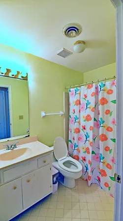 a bathroom with a sink mirror vanity and toilet