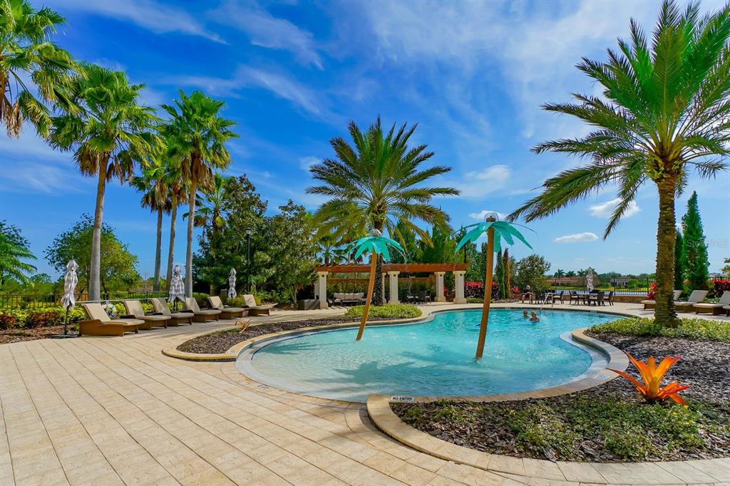 7975 Matera Court Lakewood Ranch, FL 34202 - Photo 80 of 83 a view of a backyard with palm trees