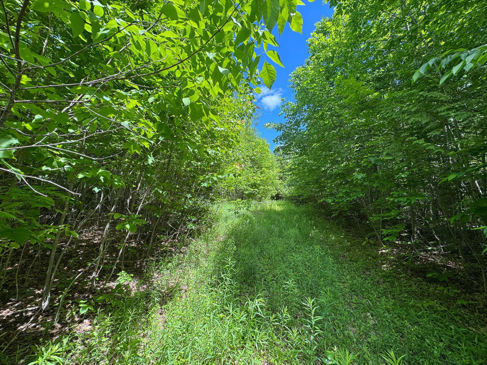 B B Lookout Lane Springfield, ME 04487 - Photo 10 of 33