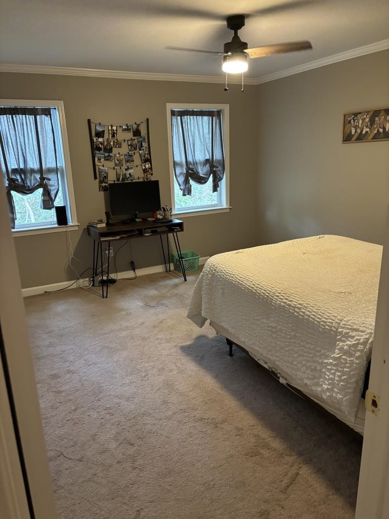5726 Quince Road, Unit 2 Memphis, TN 38119 - Photo 4 of 7 Carpeted bedroom featuring ornamental molding and a ceiling fan