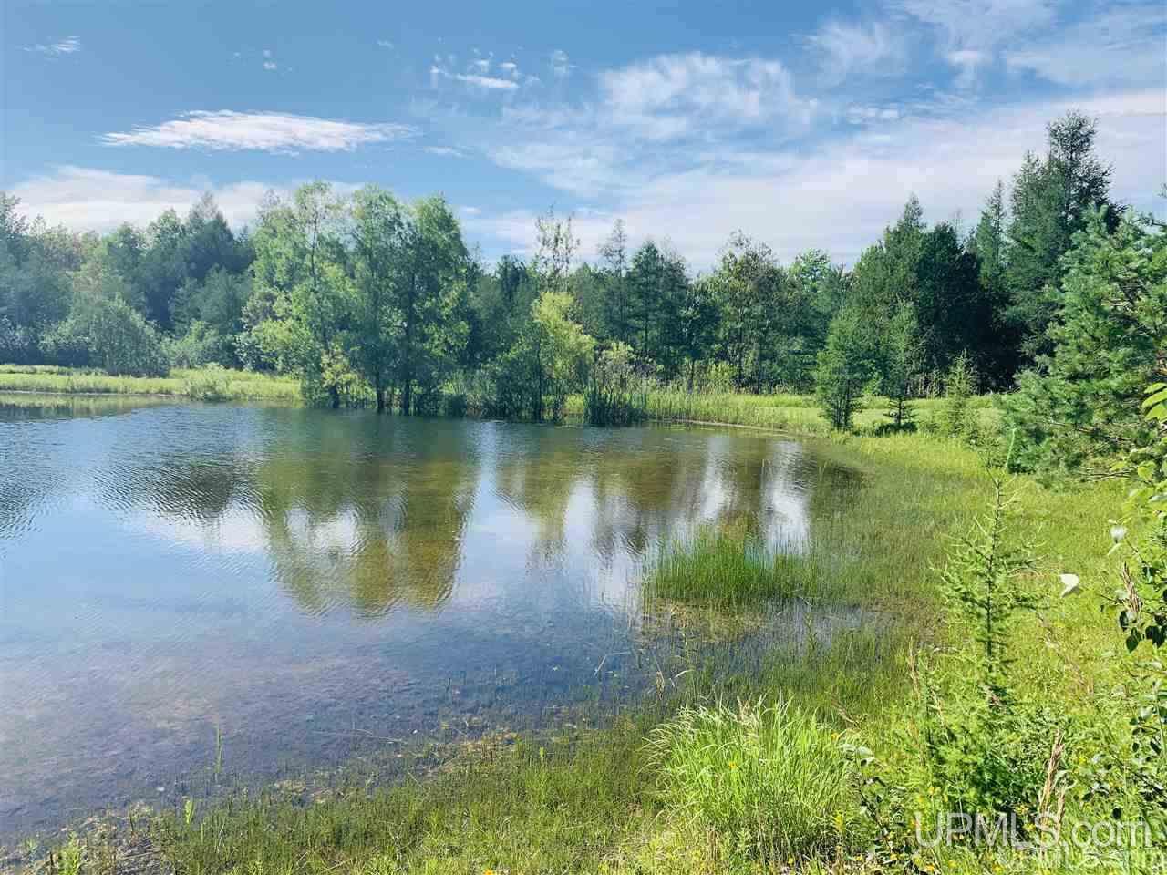 6005 G5 Road Escanaba, MI 49829 - Photo 8 of 42