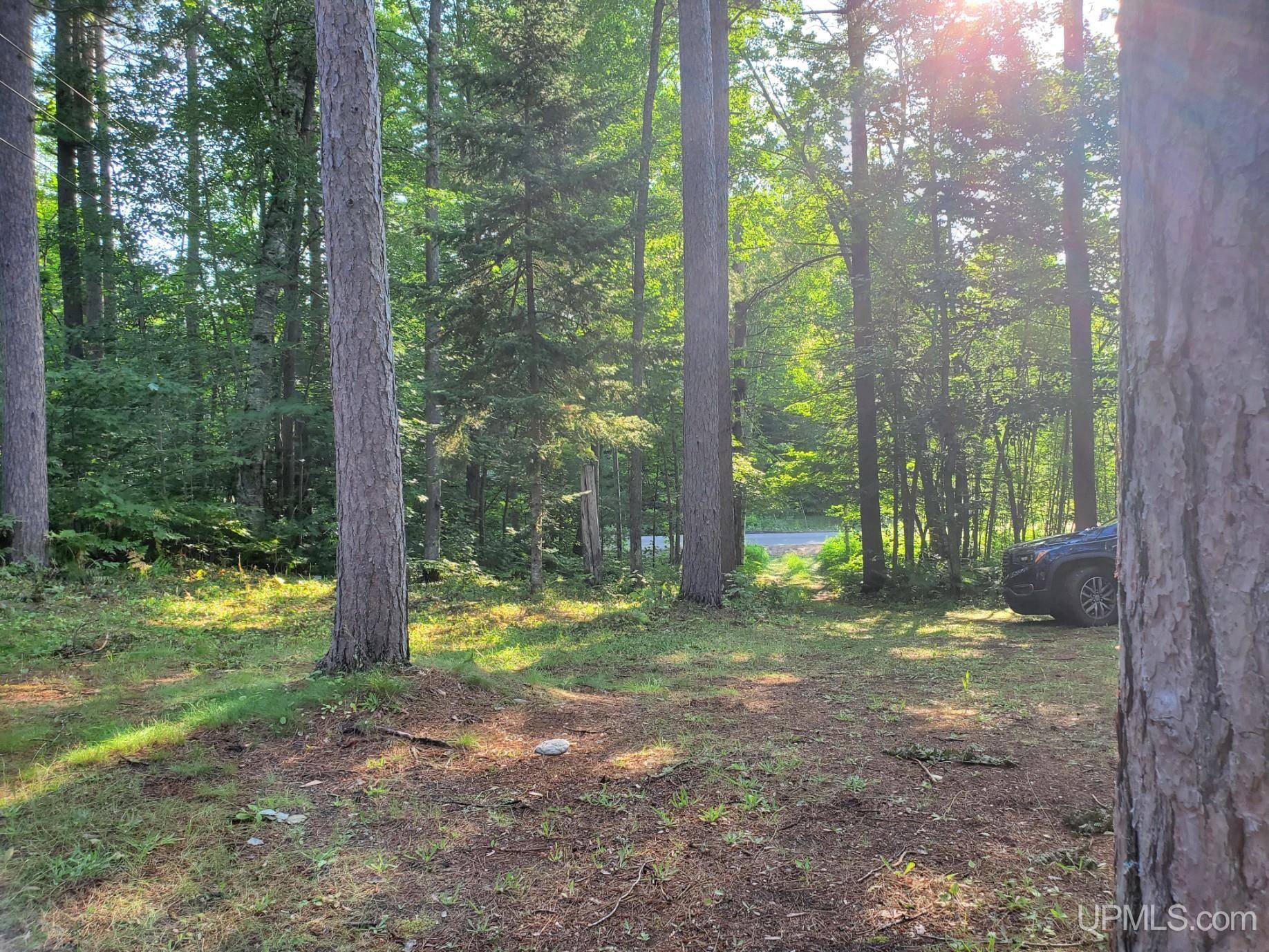 N4191 Powell Lake Road Wetmore, MI 49895 - Photo 31 of 31