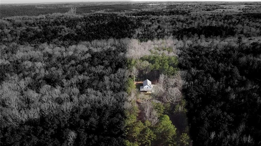 507 North Ridge Road Barnesville, GA 30204 - Photo 21 of 21 a view of a lot of trees and bushes