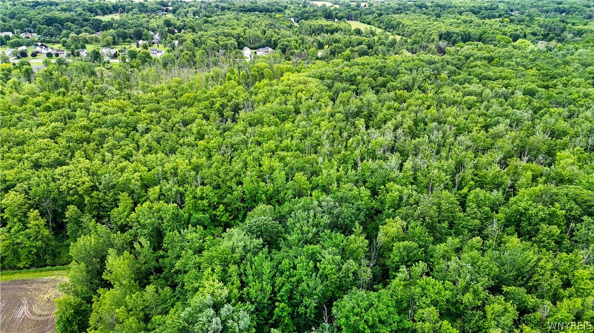 Lakeview Road Hamburg, NY 14075 - Photo 5 of 14