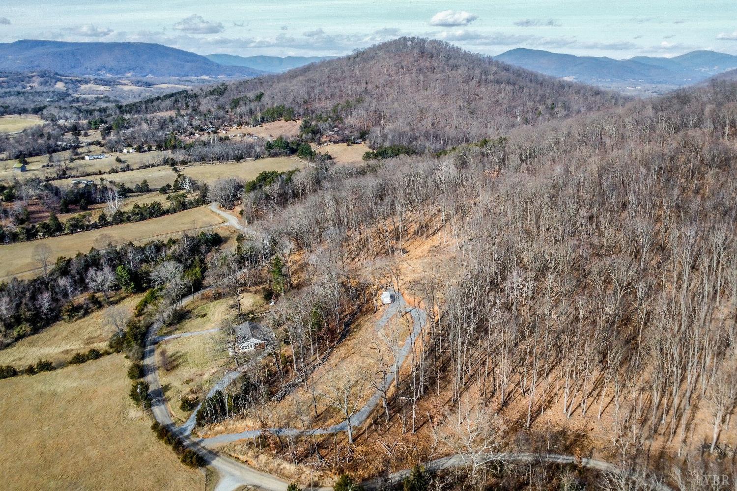-lot 5 Pilot Mountain Road Moneta, VA 24121 - Photo 5 of 15