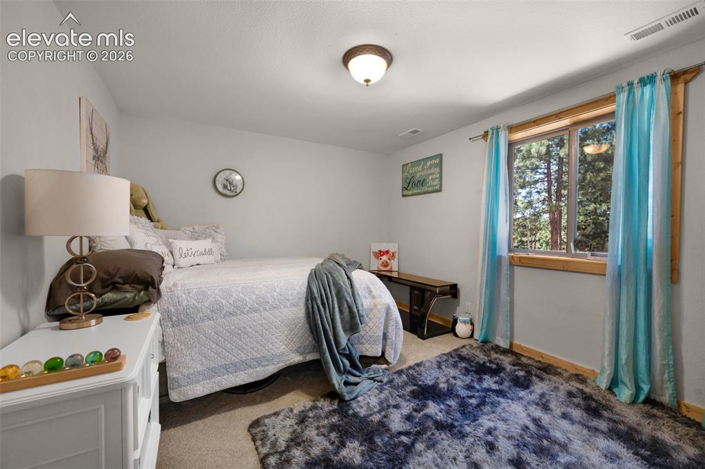 897 Fossil Creek Road Florissant, CO 80816 - Photo 28 of 41