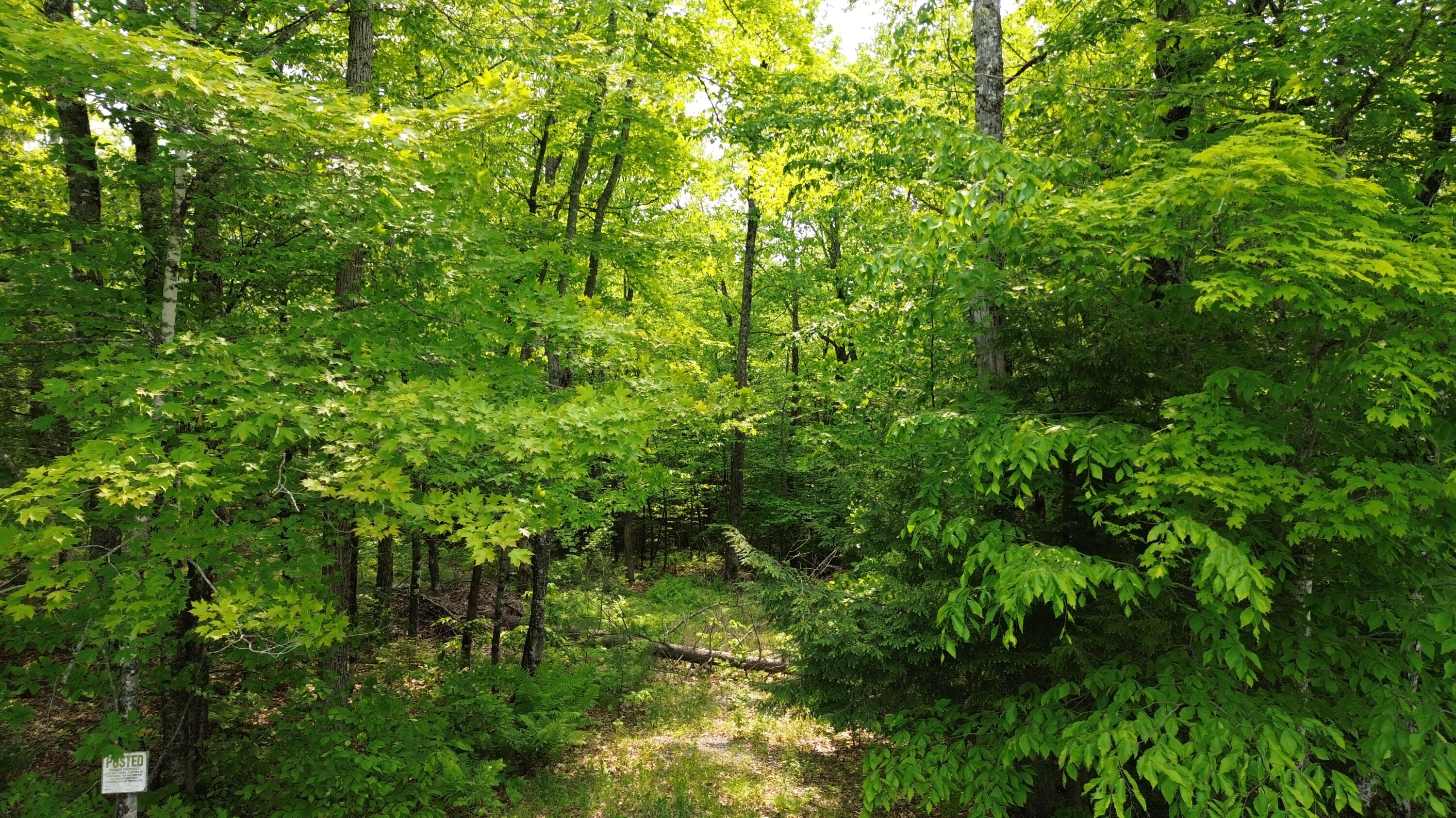 121 Parkman Hill Road Solon, ME 04979 - Photo 10 of 15 DJI_0508