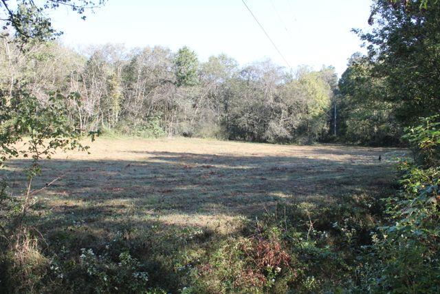 0 Watson Road Silver Point, TN 38582 - Photo 3 of 30