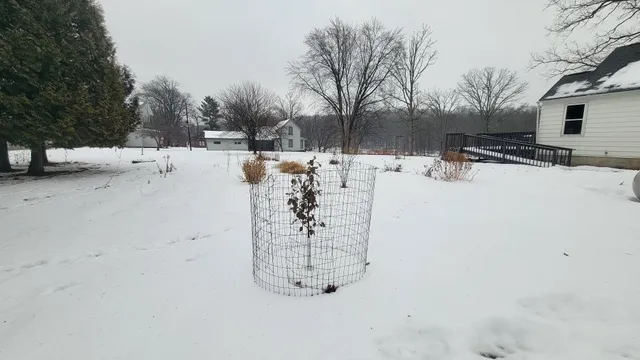 $154,900 | N8872 Elm Street, Gilman, WI 54433