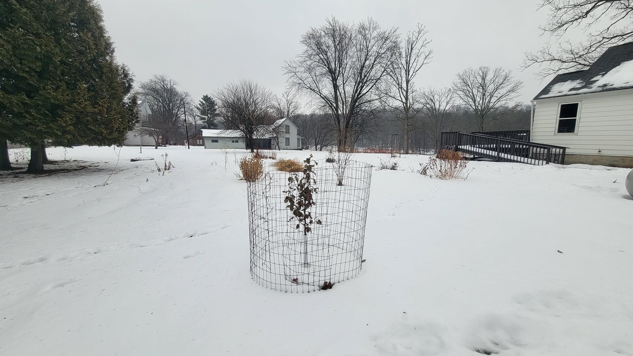 N8872 Elm Street Gilman, WI 54433 - Photo 13 of 37