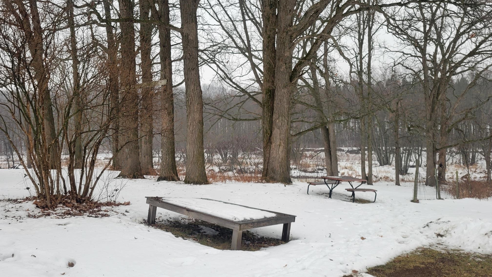 N8872 Elm Street Gilman, WI 54433 - Photo 4 of 37