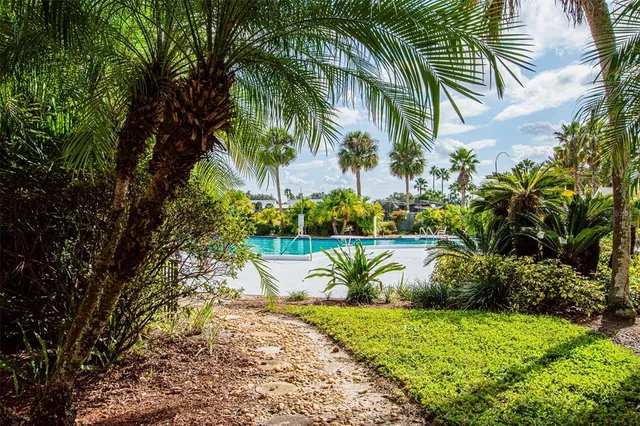 a view of a yard with a palm tree