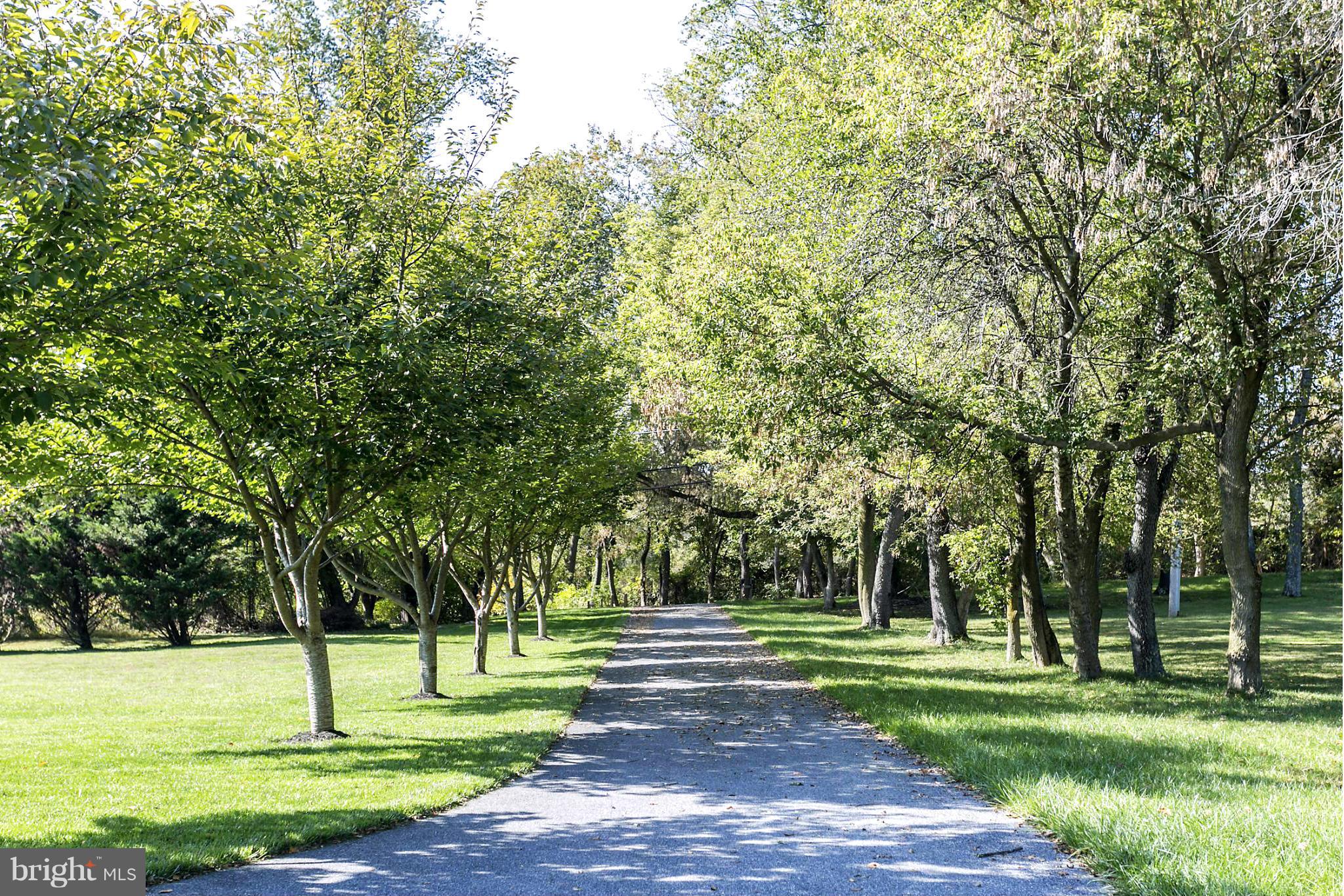 14921 Harrisville Road Mount Airy, MD 21771 - Photo 2 of 28 a view of a park with trees and a pathway