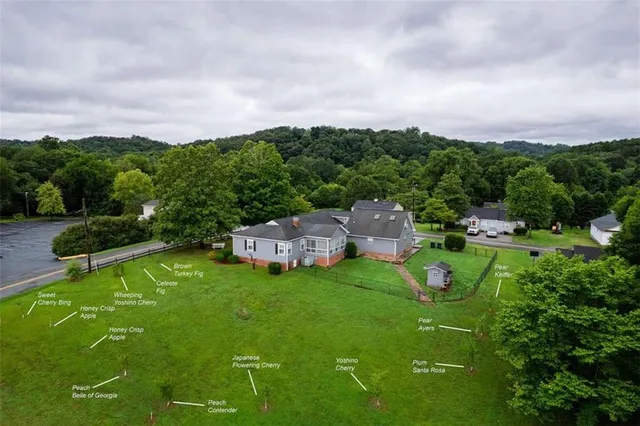 a view of a garden with houses