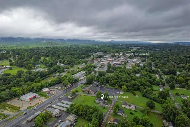 an aerial view of residential houses with outdoor space and trees