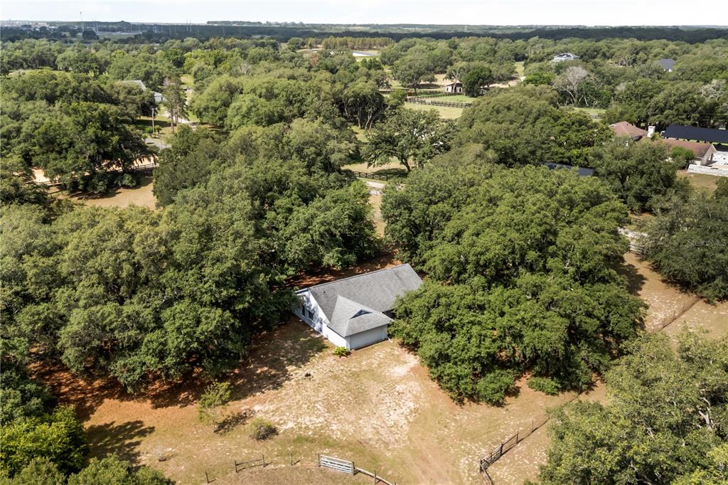 16104 Sandhill Road Winter Garden, FL 34787 - Photo 28 of 36