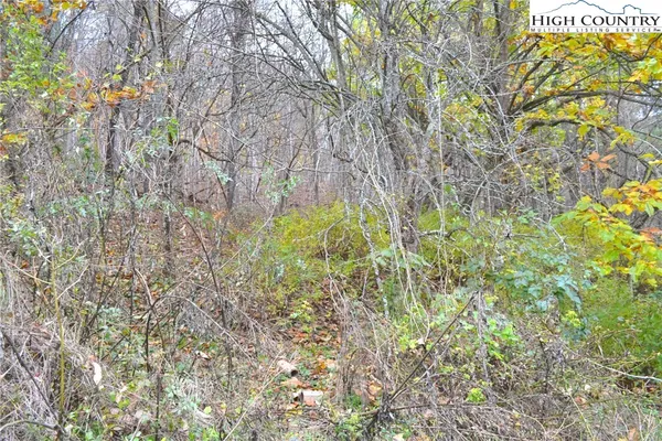 a view of a house with a big yard and large trees