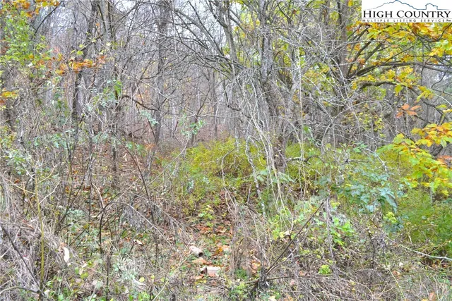 a view of a house with a big yard and large trees