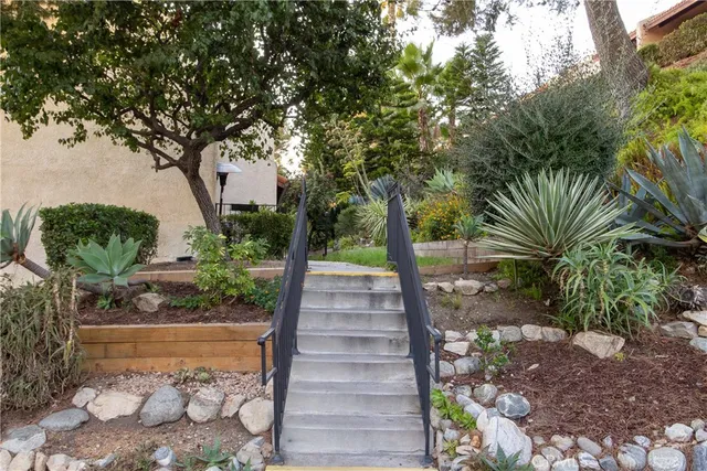a view of a yard with plants and trees
