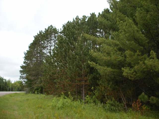 5044 Highway 51 Mercer, WI 54547 - Photo 3 of 8 Gallery Image 3