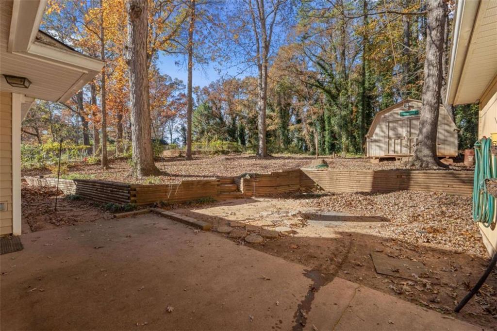 125 Circle Drive Hampton, GA 30228 - Photo 34 of 36 a view of dirt yard with a large tree