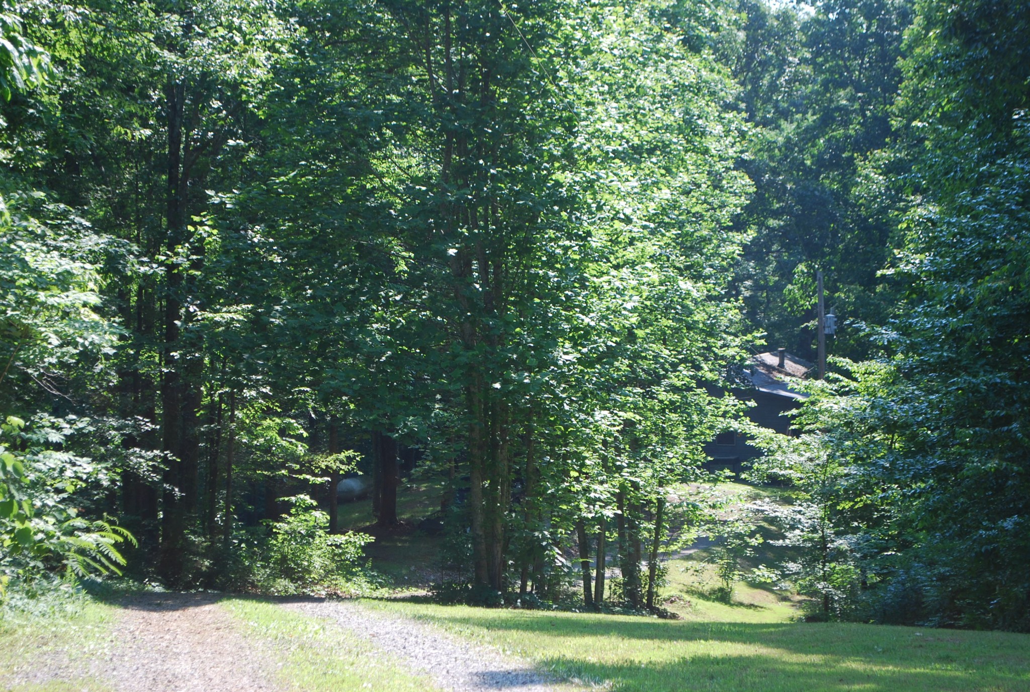 6756 Russell Branch Road Lyles, TN 37098 - Photo 10 of 25 Gallery Image 10