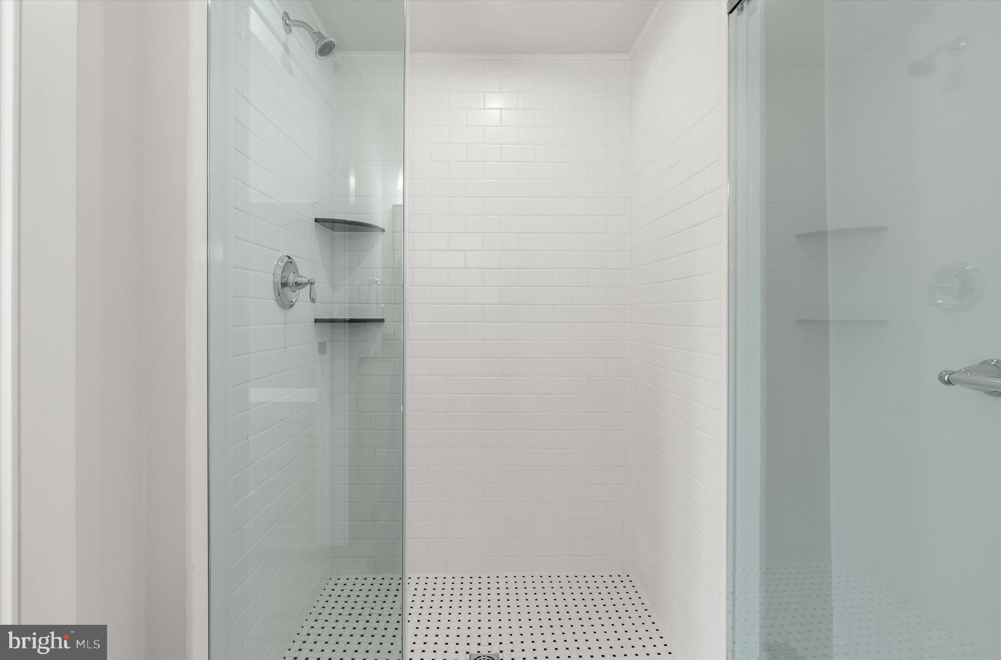 105 High Street Chestertown, MD 21620 - Photo 13 of 51 Walk in shower