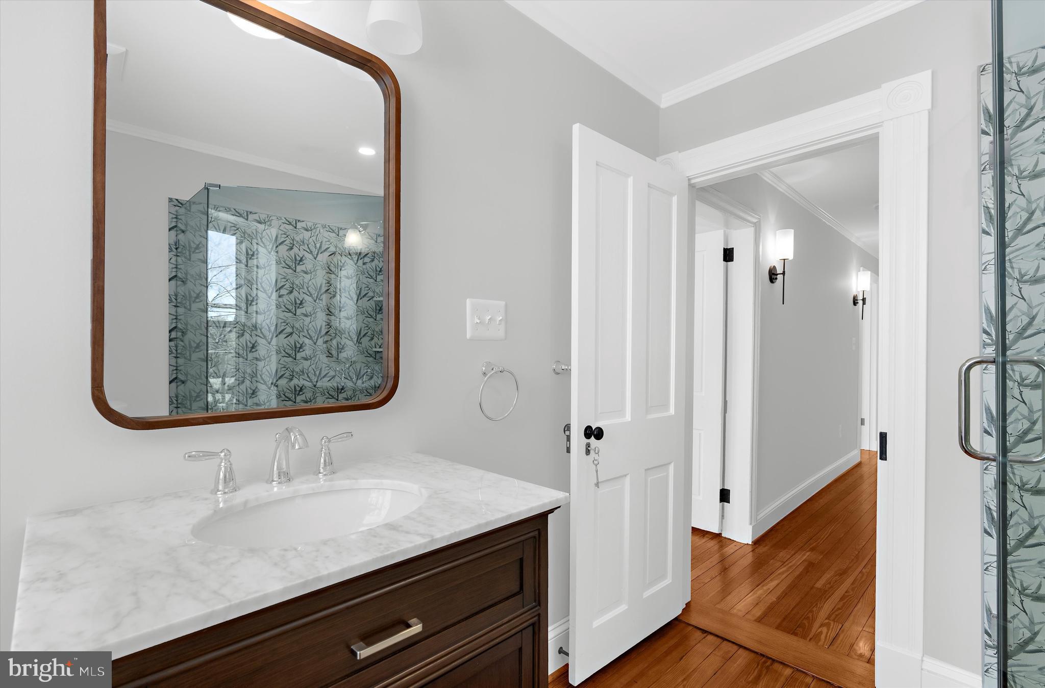 105 High Street Chestertown, MD 21620 - Photo 23 of 51 2nd floor common full bathroom