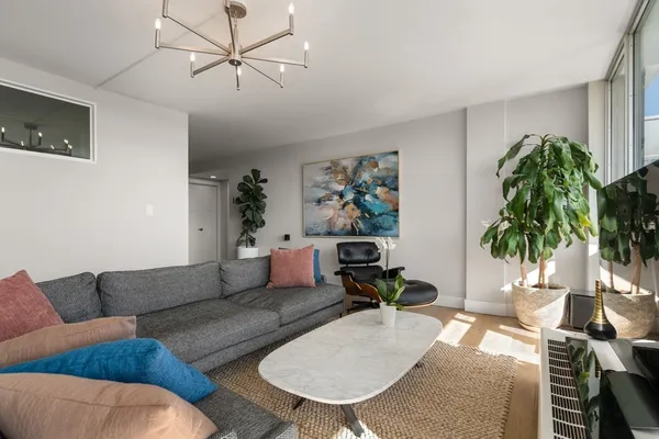 a living room with furniture and a potted plant
