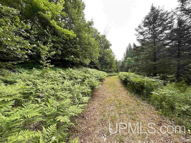 3907 Nykanen Road Chatham, MI 49816 - Photo 49 of 56 Gallery Image 49