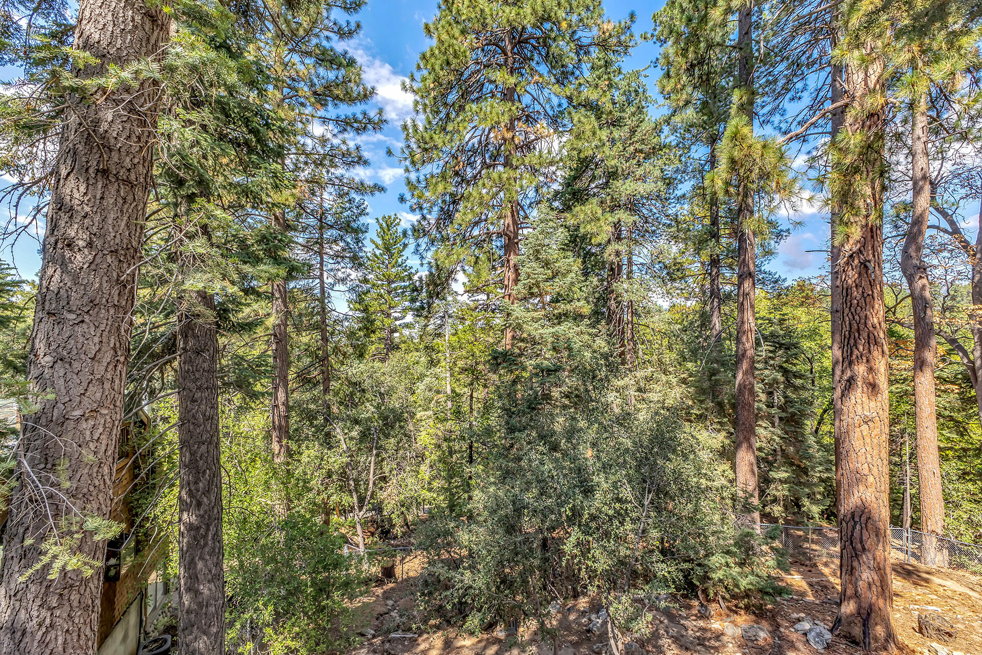 52680 Pine Ridge Road Idyllwild, CA 92549 - Photo 42 of 90 IMG_0320