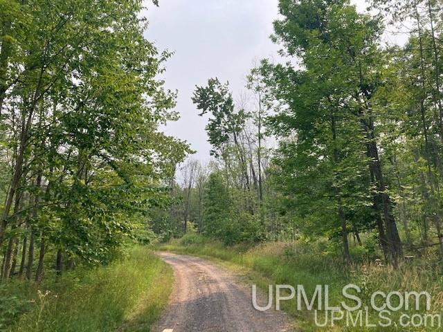 Tbd Old Mill Road Toivola, MI 49965 - Photo 11 of 25 Gallery Image 11