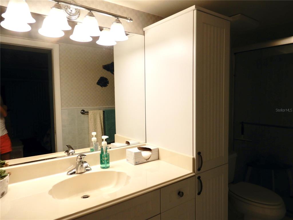 103 1st Street East, Unit 210 Tierra Verde, FL 33715 - Photo 4 of 22