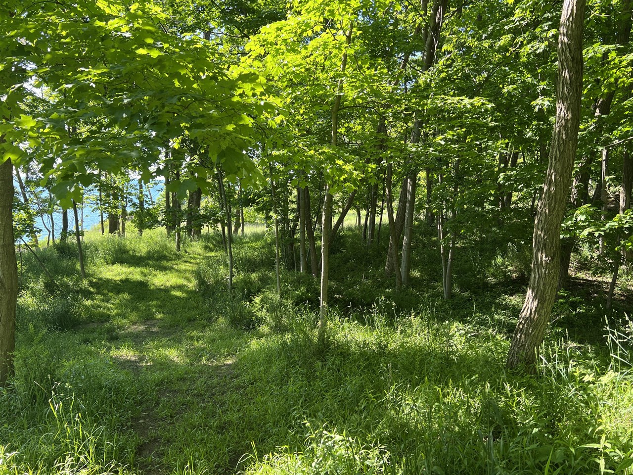 Tract #34 South Tract Drive Manistee, MI 49660 - Photo 8 of 15