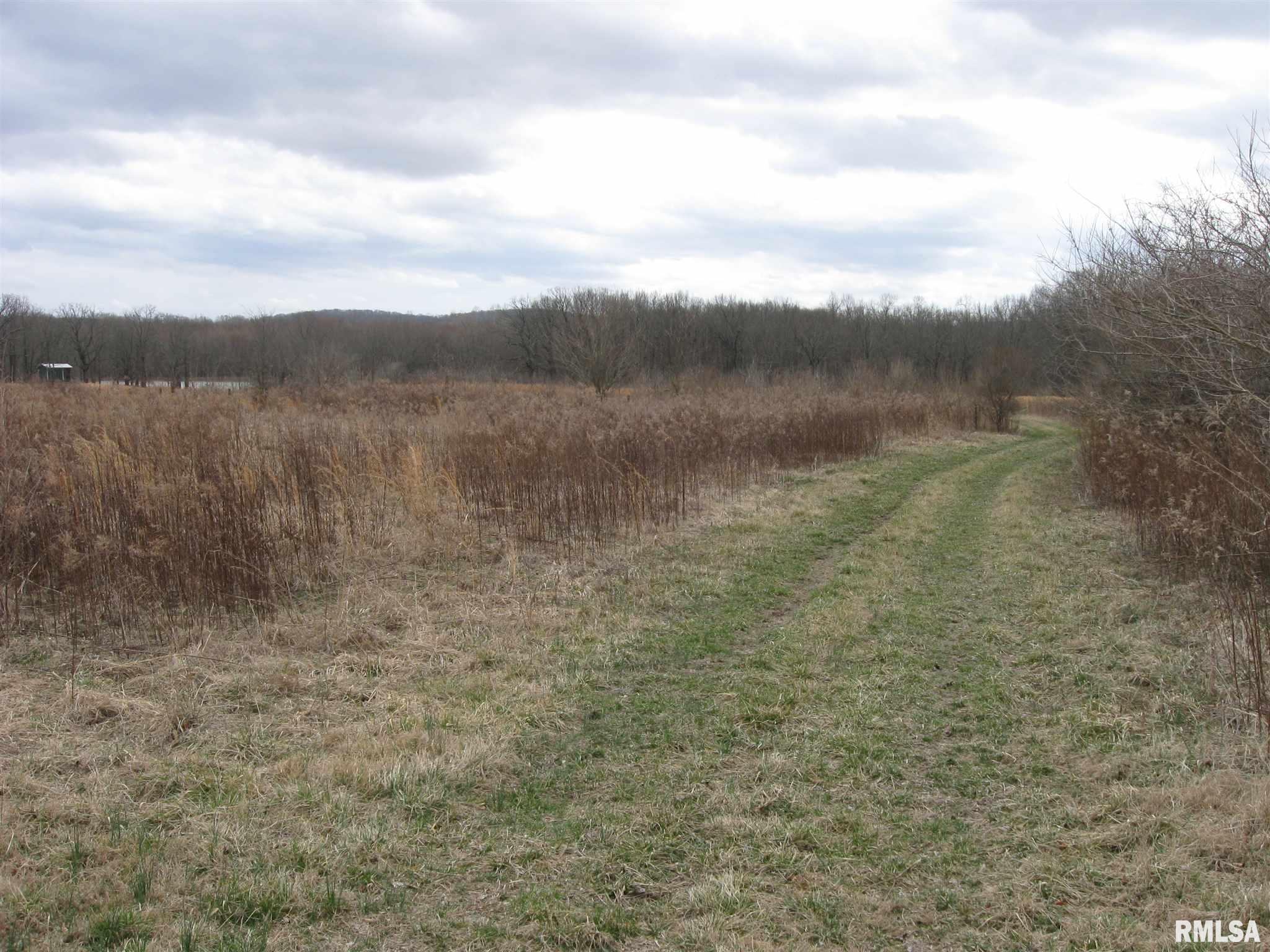 2360 Dog Walk Road Equality, IL 62934 - Photo 25 of 26 Gallery Image 25