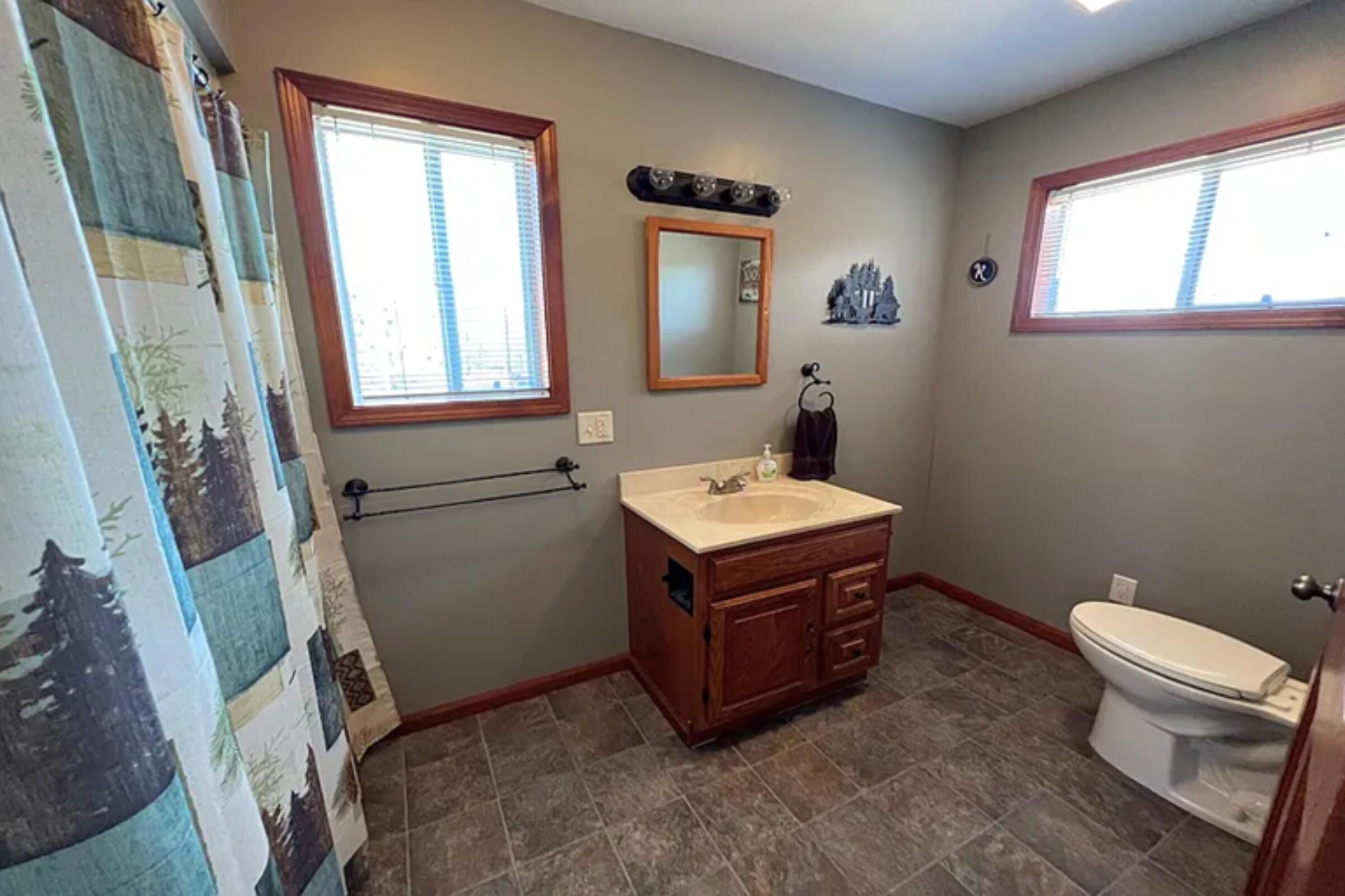 1278 West Pine Tree Road Luther, MI 49656 - Photo 9 of 29 Bathroom view 1