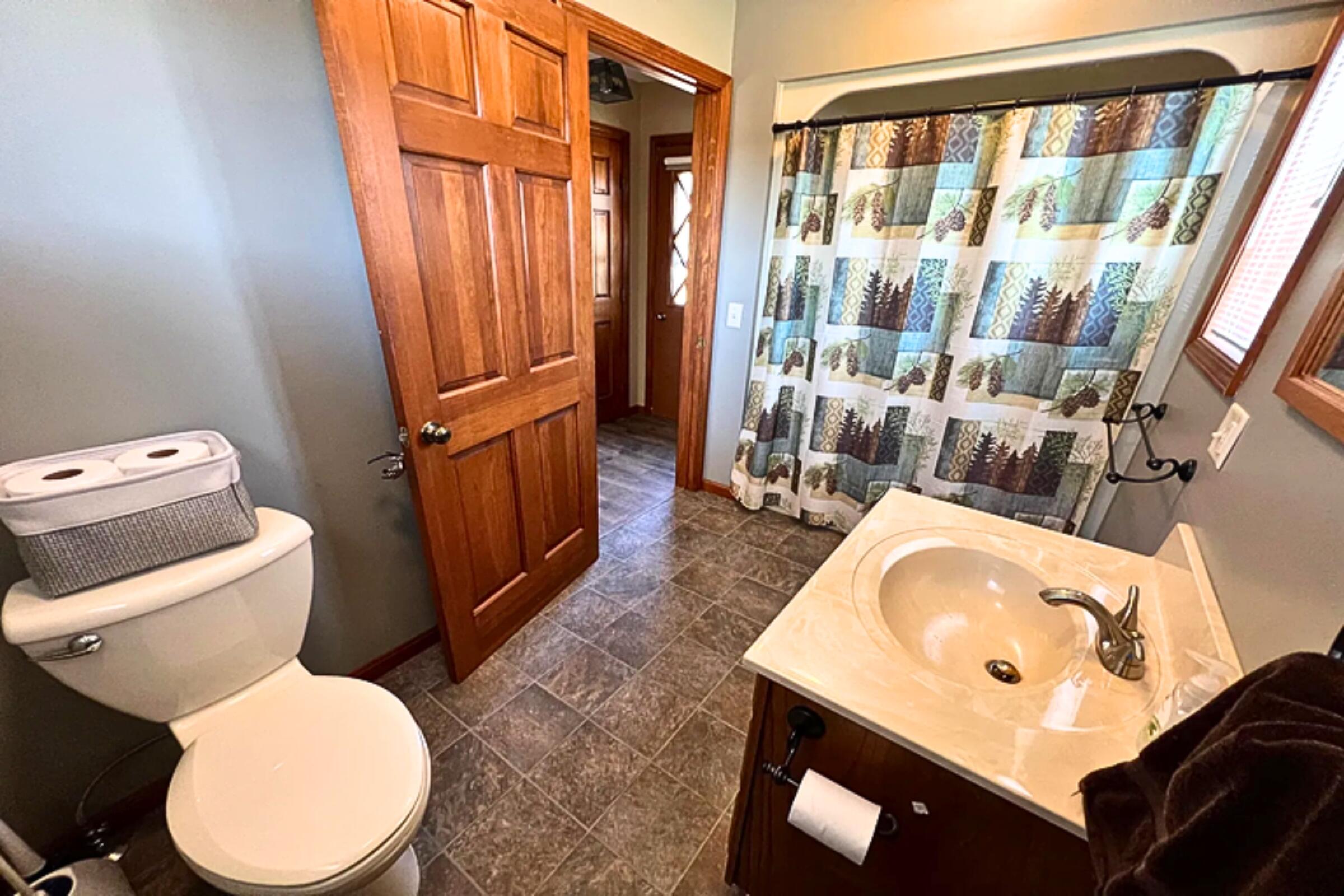 1278 West Pine Tree Road Luther, MI 49656 - Photo 10 of 29 Bathroom view 2