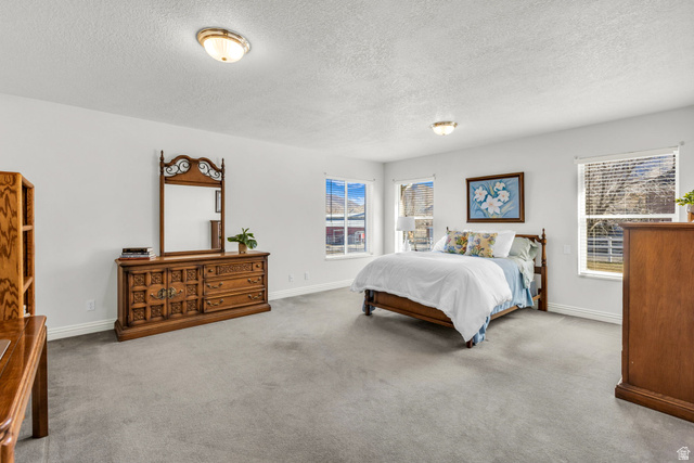1060 West 2620th Street South Mapleton, UT 84664 - Photo 27 of 87 Bedroom with a textured ceiling and carpet floors