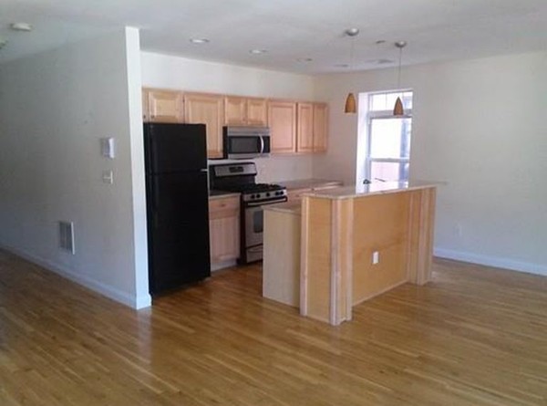 121 Homestead Street, Unit 1 Boston, MA 02121 - Photo 2 of 7