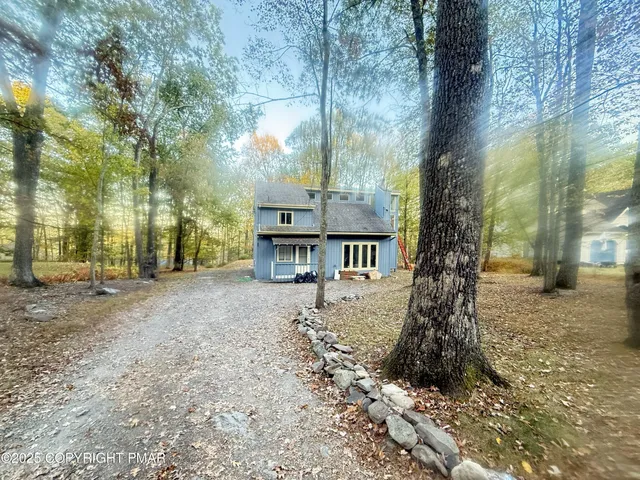 a dirt road with trees in front of it