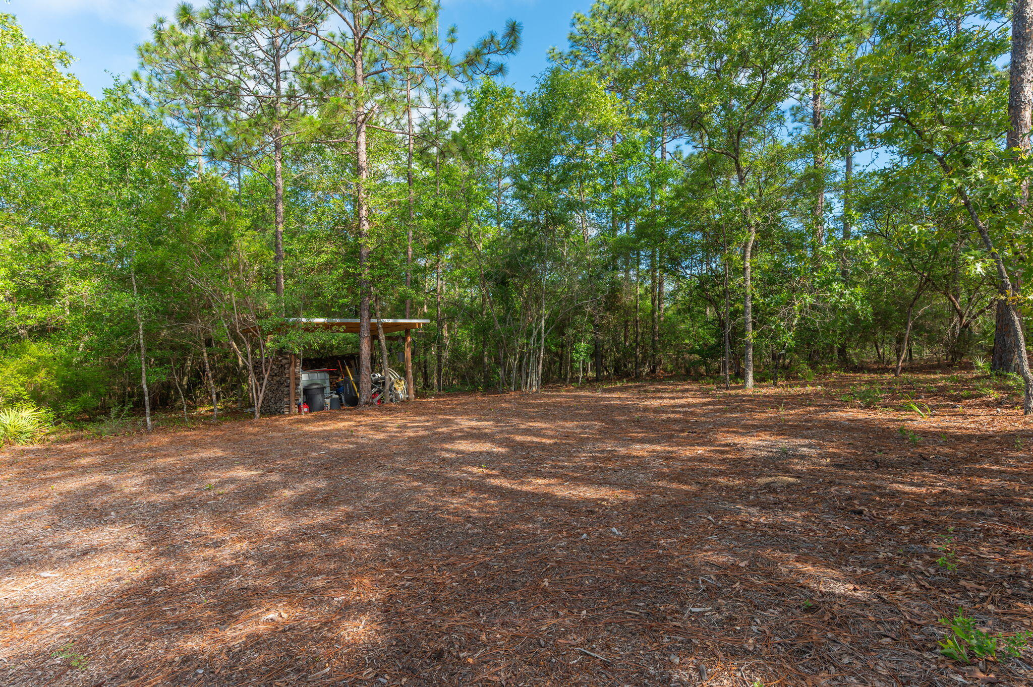 4449 Yellow Bluff Road Crestview, FL 32539 - Photo 16 of 42 a view of a field with trees in the background