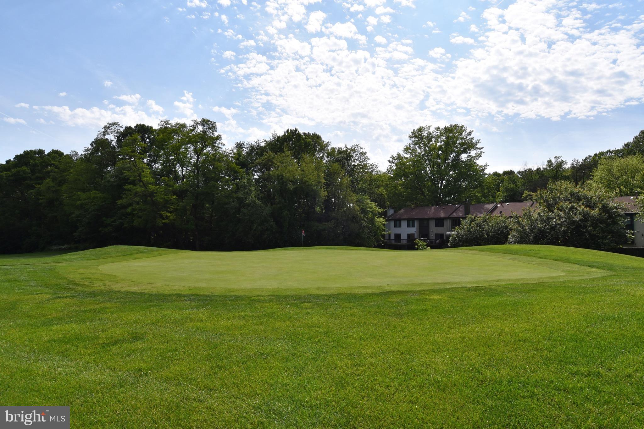 11605 Golf Course Square Reston, VA 20191 - Photo 28 of 30 Exterior (Rear)