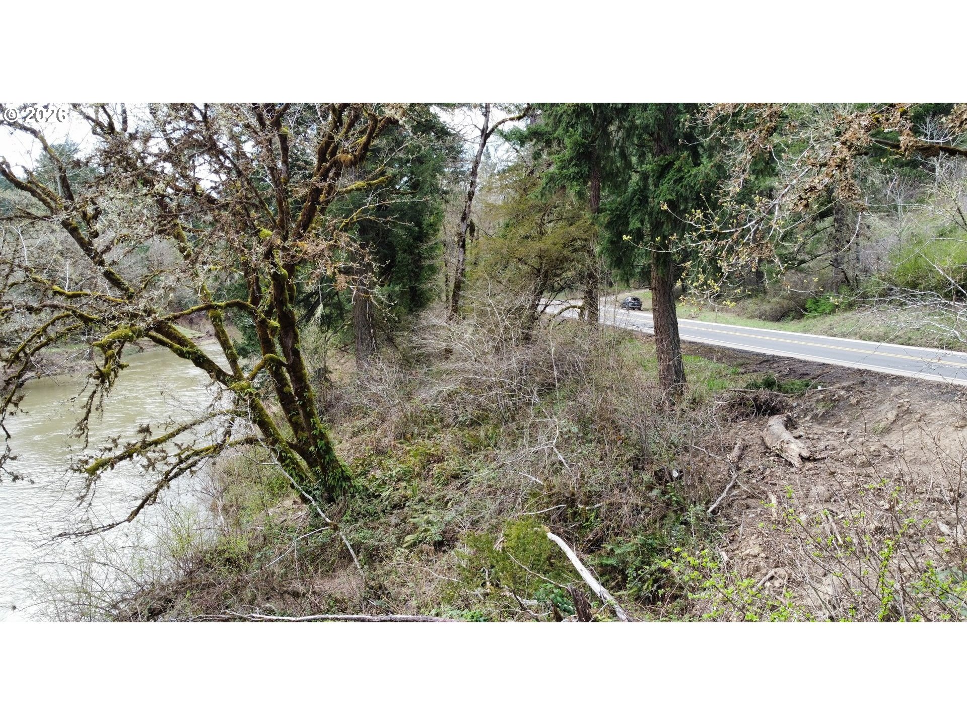 0 State Highway Drain, OR 97435 - Photo 10 of 17