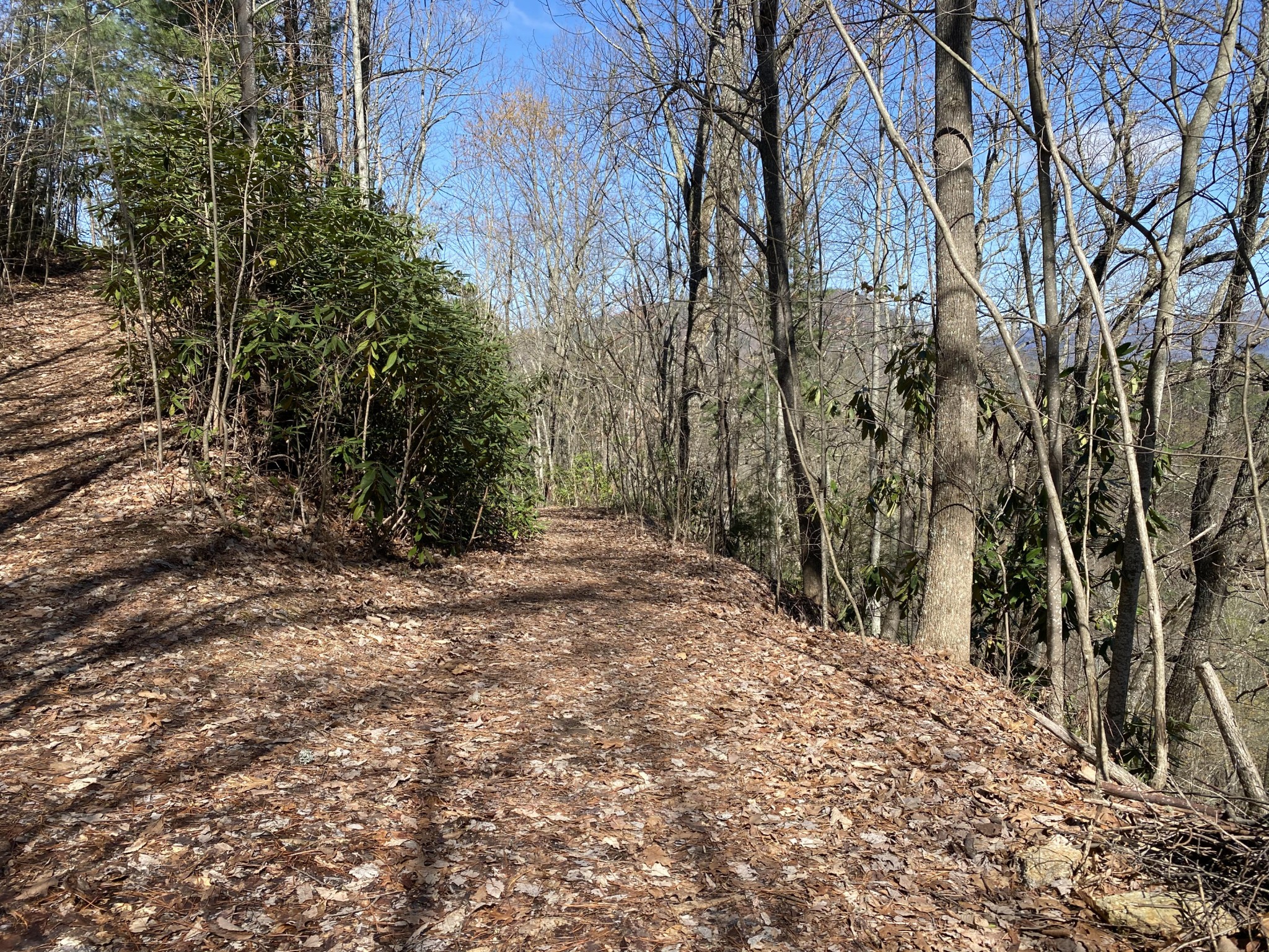 0 South Clear Fork Road Sevierville, TN 37862 - Photo 3 of 22 Gallery Image 3
