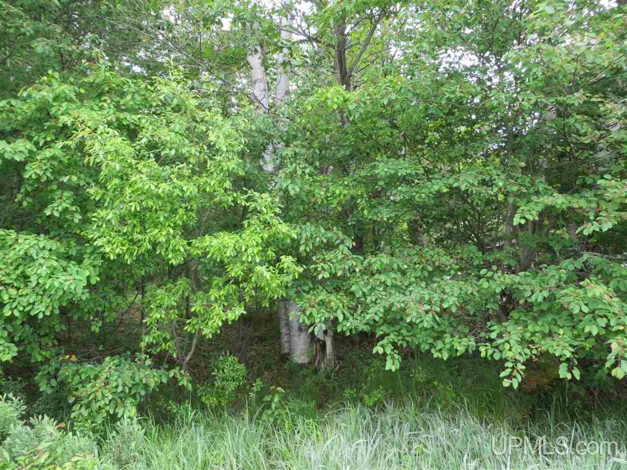 Tbd Ramsdam Road Manistique, MI 49854 - Photo 4 of 21 Gallery Image 4