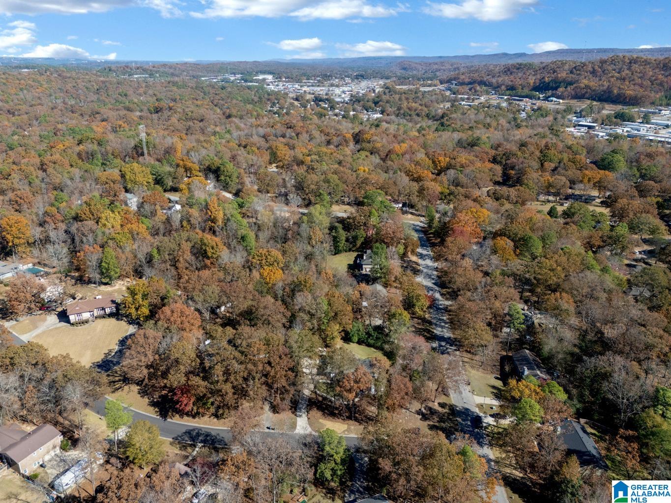 2575 Dalton Drive Pelham, AL 35124 - Photo 73 of 73
