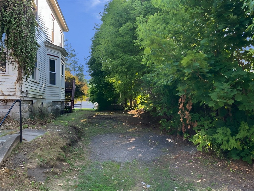 11-15 Perry Street North Adams, MA 01247 - Photo 3 of 22 a view of a yard with plants and a tree